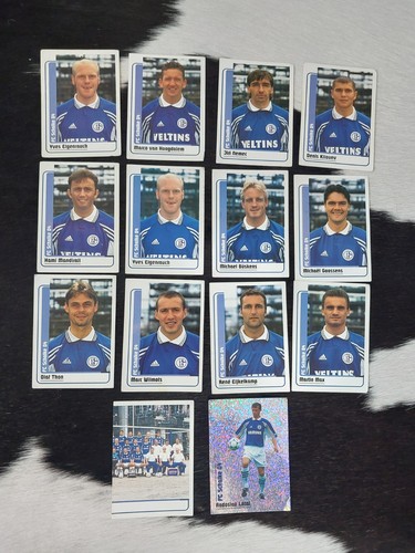 Schalke panini - schalke, 04