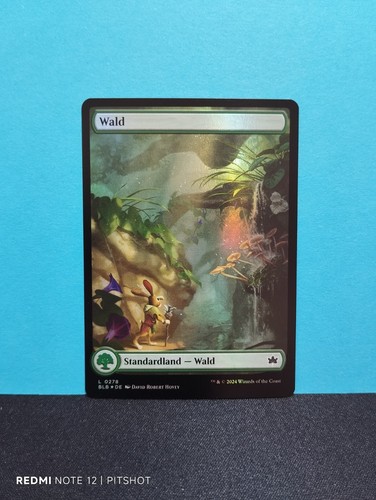 Foil fullart wald - fullart, forest
