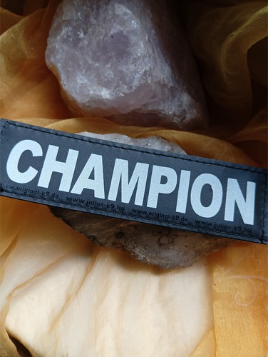 Champion klettlogo x 3 - k9, 11