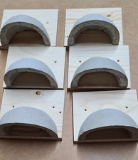 6 Rauchschwalben Nester