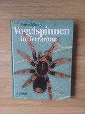 Vogelspinnen im Terrarium 