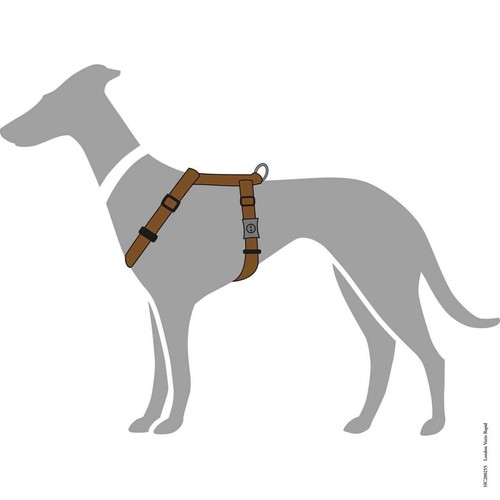 Hunter hundegeschirr london - hundegeschirr,