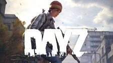DayZ (PC, 2018, Nur der Steam