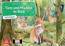 Tiere und Pflanzen im Wald