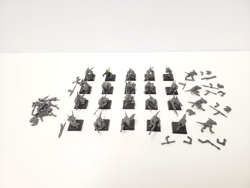 Skinks lizardmen - skinks,