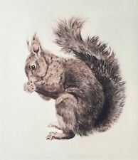 "Eichhörnchen" Farbradierung von Kurt Meyer-Eberhardt (Hanfstaengl Nachlass)