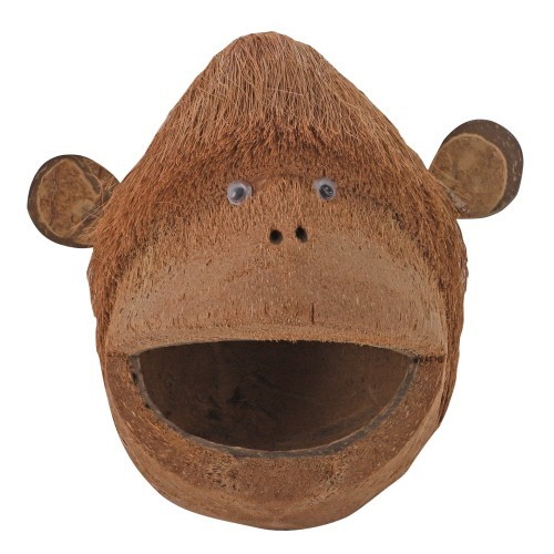 Coco monkey kokosnuss - coco,
