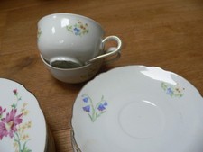 Schirnding Bavaria Porzellan