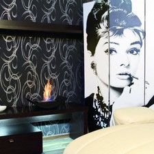 Kratki Tischkamin BIOMISA TÜV