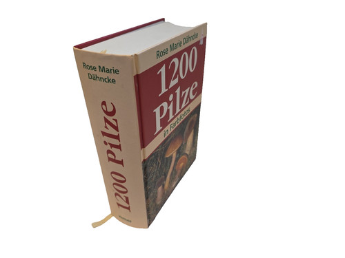 1200 pilze farbfotos - pilze, in