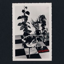 FIFTIES DESIGN FURNITURE /