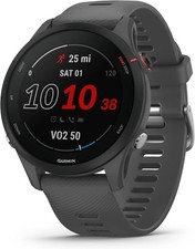 Garmin Forerunner 255, 46mm