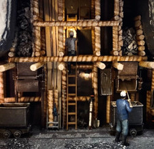 Rollenschnauze Wismut