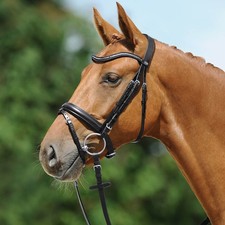 Passier schwarz edelstahl - schwarz/edelstahl, pony