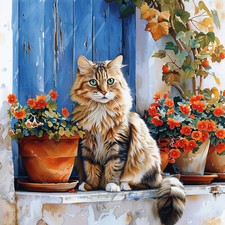 Deko Bild Katze Fenster Mediterran Wandbild Tiere Wanddeko Dekofliese Wandfliese