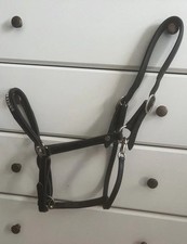Lederhalfter mit Glitzer am Nasenriemen und Lackleder Full