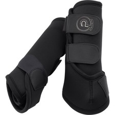 Eskadron Black Vollblut