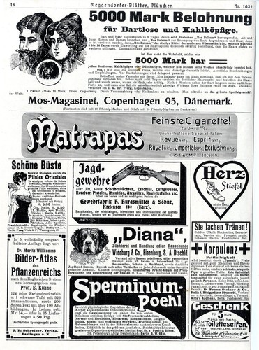 Sulima dresden matrapas - sulima,