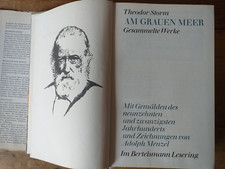 Am Grauen Meer - Storms gesammelte Werke Theodor Storm
