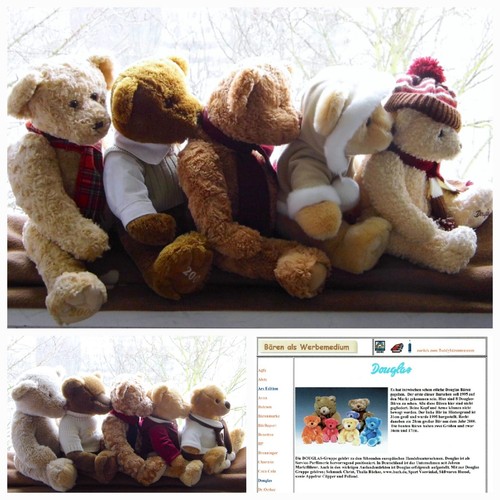Teddy künstlerbär 10x - teddy, 🐻