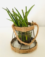 Blumentopf, Jute Glas Metall, Windlicht, Blumenampel, Sansevieria