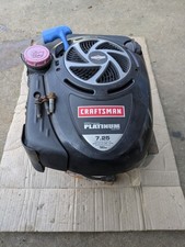 Briggs & Stratton Platinum