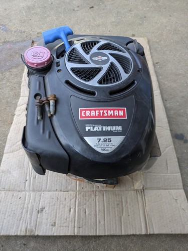 Briggs stratton platinum - &,