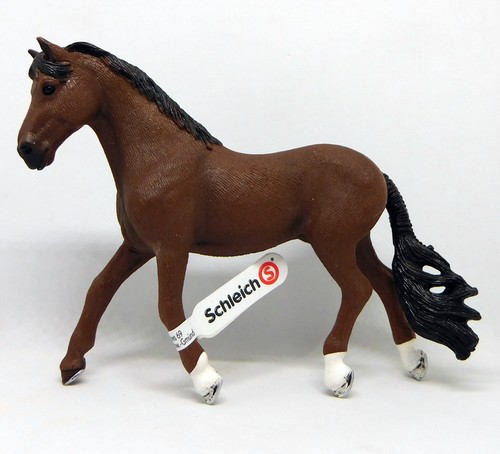 Trakehner wallach hengst - wallach,