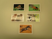 Rewe - Abenteuer Tierwelt - Diverse Sticker