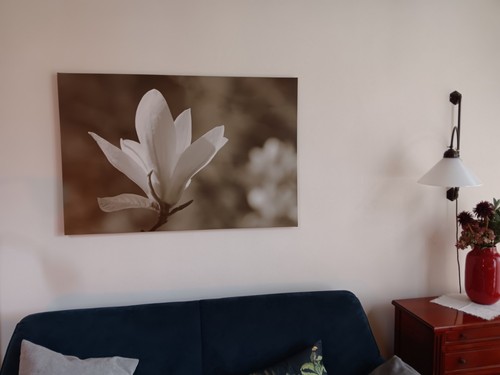 Leinwand bilder 118 - x,
