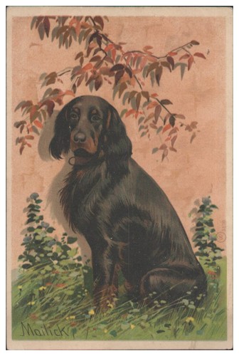 S8216 schöne mailick - schöne, litho