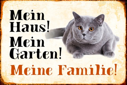 Holzschild 18x12 tiere katze - holzschild,