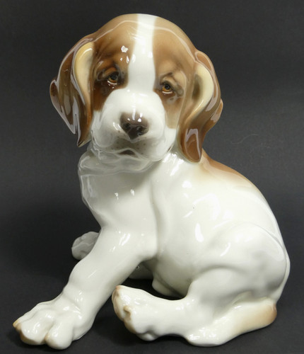 Bernhardiner hund welpe - hund, prof