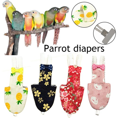 Für vogel papagei - vogel,