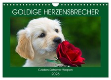 Goldige Herzensbrecher -