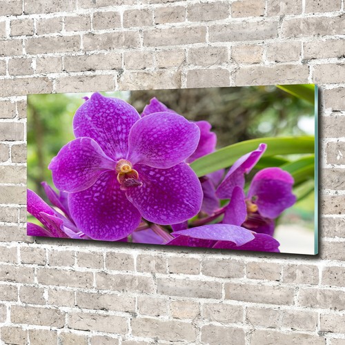 Glas bild wandbilder - wandbilder, druck
