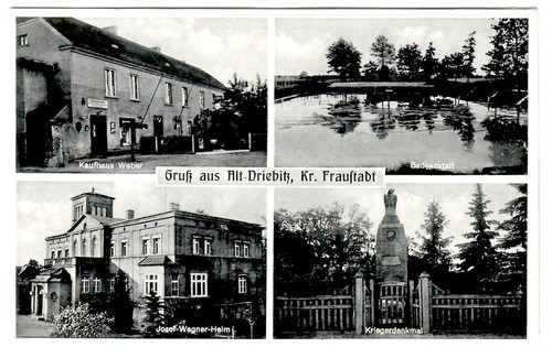 Alt driebitz bei fraustadt - ak, alt-