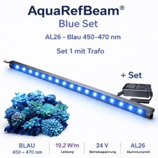 Meerwasser Aquarium -