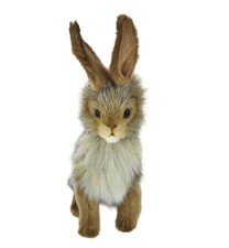 Hansa Jack Kaninchen