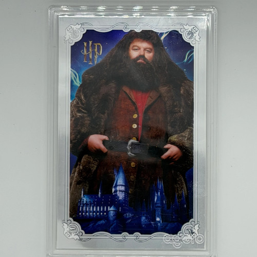 Rubeus hagrid harry potter - harry,