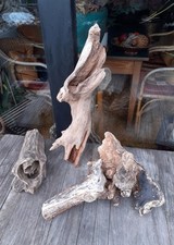 3 XL Treibholz Schwemmholz