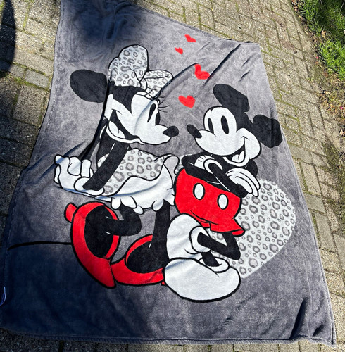 Disney home mickey - mickey, &