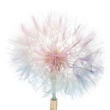 Trockenblumen deko pusteblume - trockenblumen,