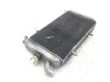 Heizkörper Wasser Flüssigkeit Kühlung Motor PIAGGIO HEXAGON 250 1998 2000