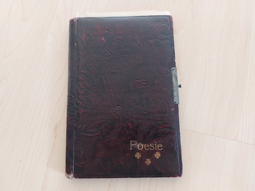 Altes poesiealbum - altes,