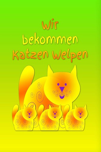 Katzenbabys buch - katzenbabys,