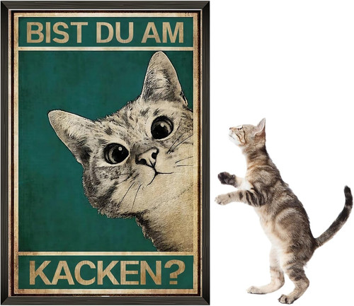 Bist kacken katze - katze, bild