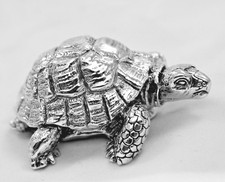 Sehr schöne Schildkröte /
