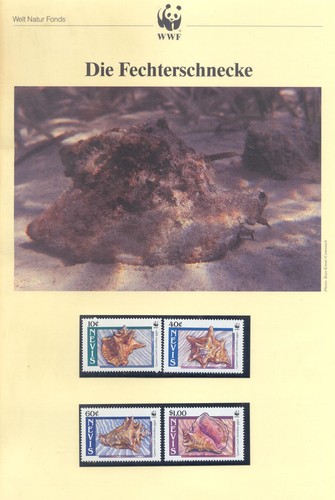 Wwf wnf kapitel - -, nevis