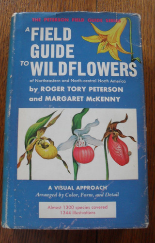 Field guide wildflowers - field,